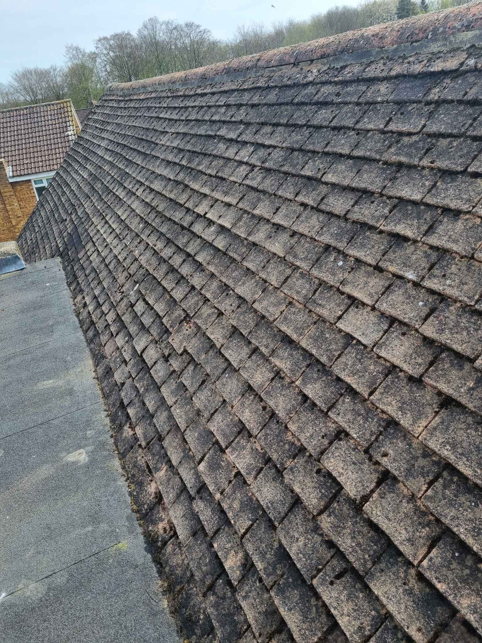 417399196_1288623185405403_8155651804599041223_n 417399196_1288623185405403_8155651804599041223_n